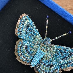 Rounded metalmark butterfly broche