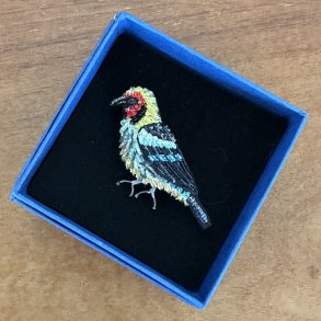 Flame faced tanager, broche