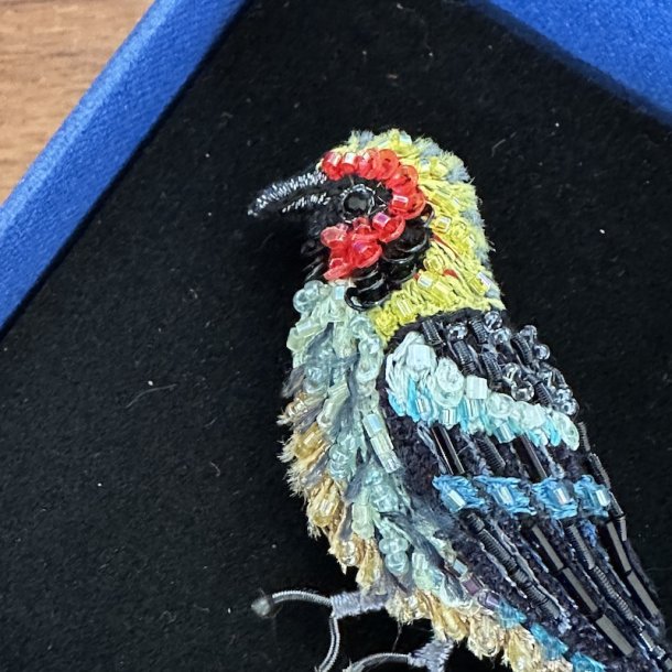 Flame faced tanager, broche