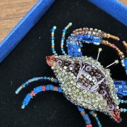 Maryland krabbe, broche