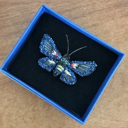 Cocytia clearwing broche