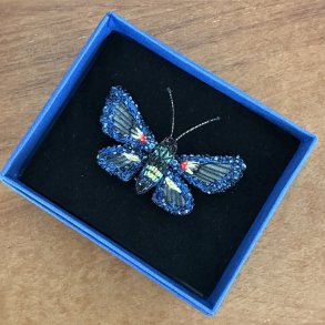 Cocytia clearwing broche