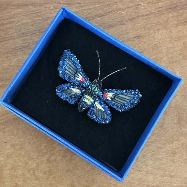 Cocytia clearwing broche