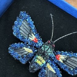 Cocytia clearwing broche