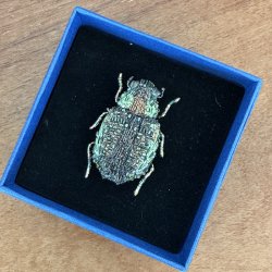 Vintage Chafer broche