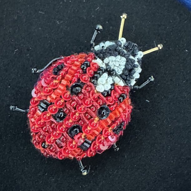 Lady bird broche