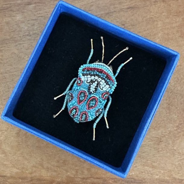 Picasso bug broche