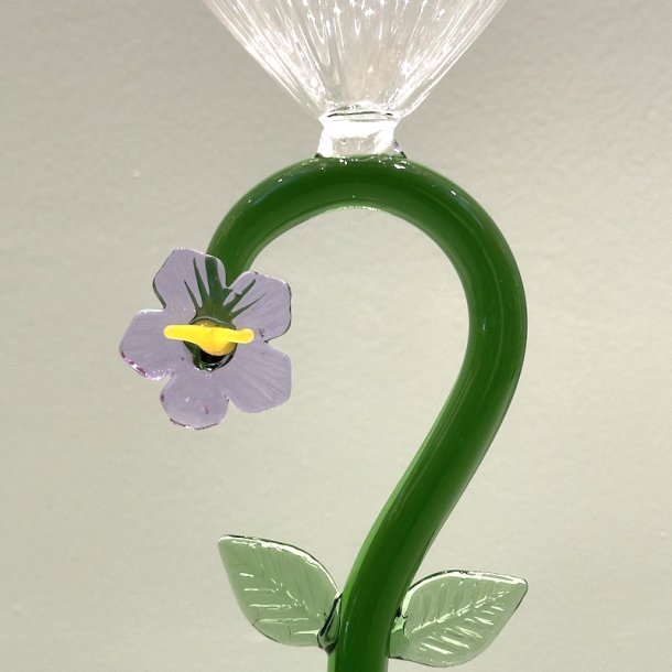 Vinglas, Lilla blomst