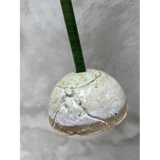 Gsefjerstr, hndlavet