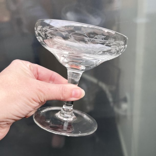 Champagnesk�le, 10 stk, vintage