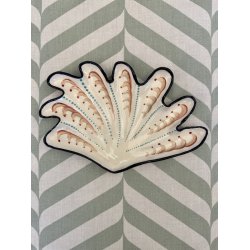 Musling, str 2, blge