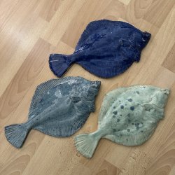 V�gfisk R�dsp�tte XL, flere farver