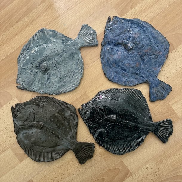 V�gfisk Pighvar XL, flere farver