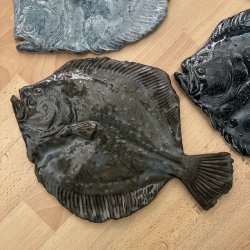 V�gfisk Pighvar XL, flere farver