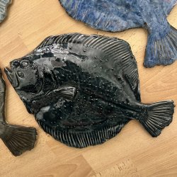 V�gfisk Pighvar XL, flere farver