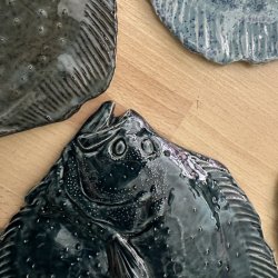 V�gfisk Pighvar XL, flere farver