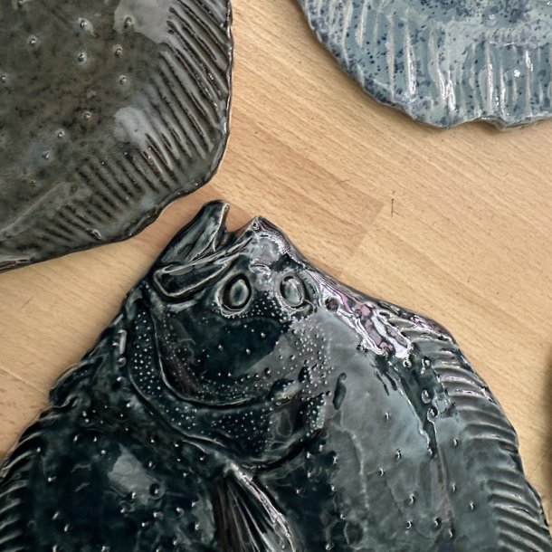 V�gfisk Pighvar XL, flere farver