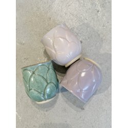 kop, artiskok, store blade, grn,