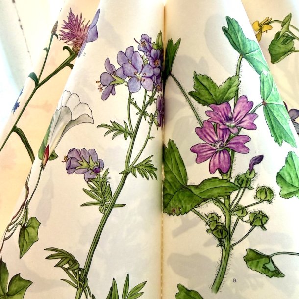 B�lgesk�rm str 2 Flora 