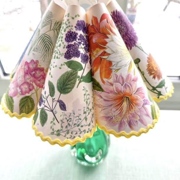 B�lgesk�rm str 0 - Flora