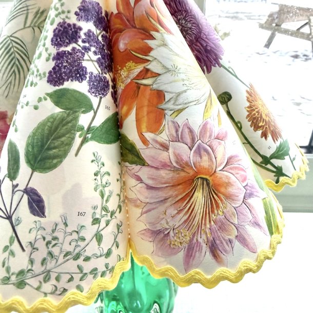 B�lgesk�rm str 0 - Flora