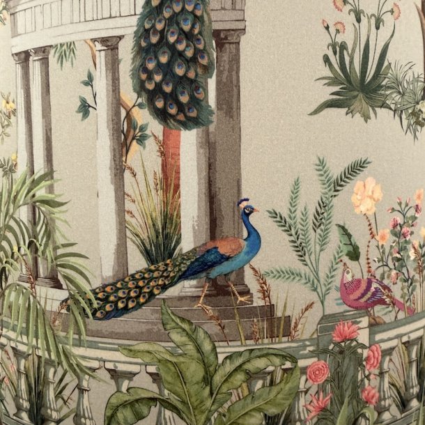 Nr 540 - Peacock world