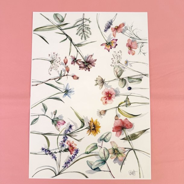 A3, Nr 4 Vild blomsterhave