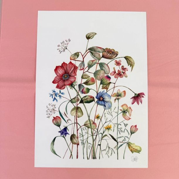 A3, Nr 5 Vild blomsterhave