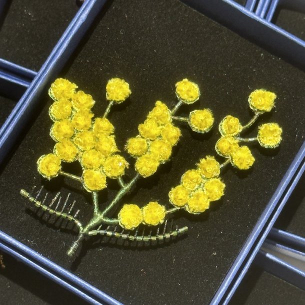 Mimosa broche