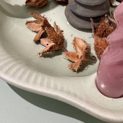 Keramik adventsstage