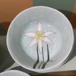 Lysebl skl, lille hvid blomst