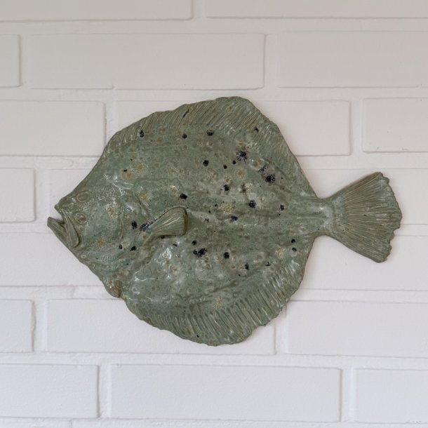 V�gfisk Pighvar XL