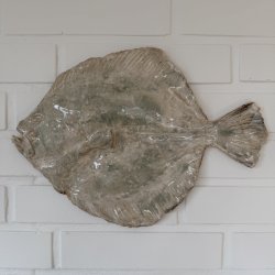 V�gfisk Pighvar XL