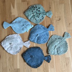 V�gfisk Pighvar XL