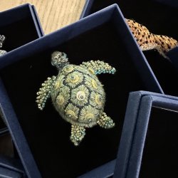 Hav skildpadde broche