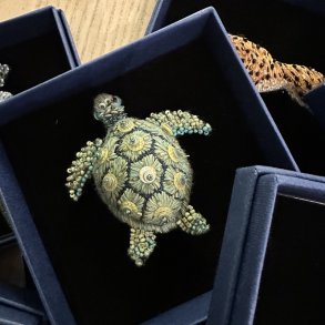 Hav skildpadde broche