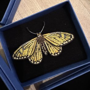Yellow coster butterfly broche