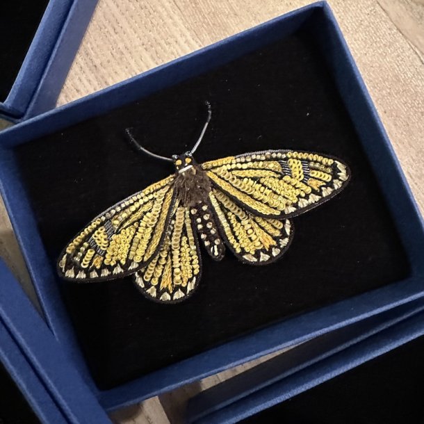Yellow coster butterfly broche