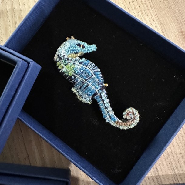 Shest broche