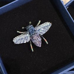 Violet tmrer bi broche