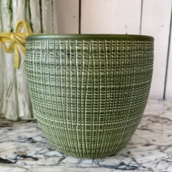 Urtepotte, Scheurich