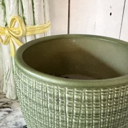 Urtepotte, Scheurich