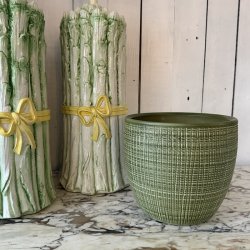 Urtepotte, Scheurich