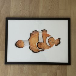 A3, Klovnefisk, orange