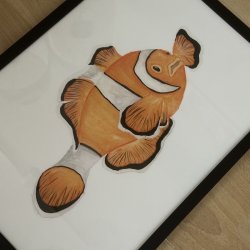 A3, Klovnefisk, orange