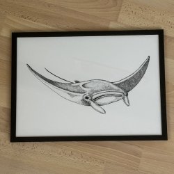 A3, Djvlerokke, sort/hvid