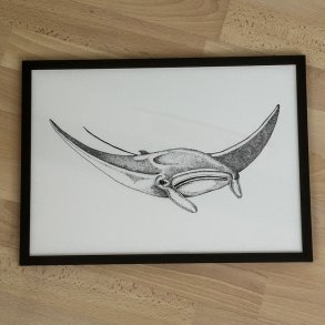 A3, Djvlerokke, sort/hvid