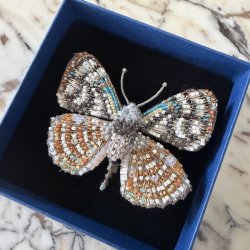 Racidula Sailor sommerfugl, broche