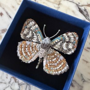 Racidula Sailor sommerfugl, broche