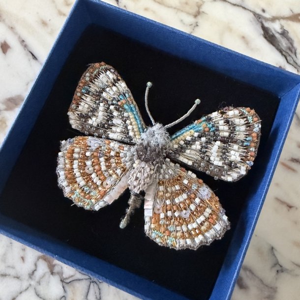 Racidula Sailor sommerfugl, broche